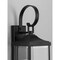 Progress Lighting Gibbes Street Collection Two-Light Medium Wall Lantern P560022-031 - alternate 3